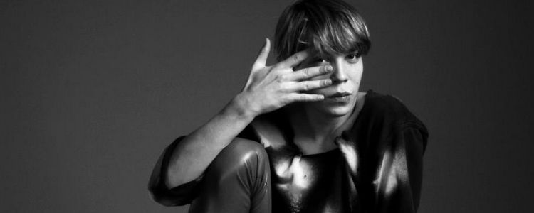 Image for Die Babelianer/innen 2013