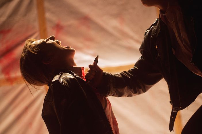 Image for Fringe Festival 2013: Shakespear è donna 