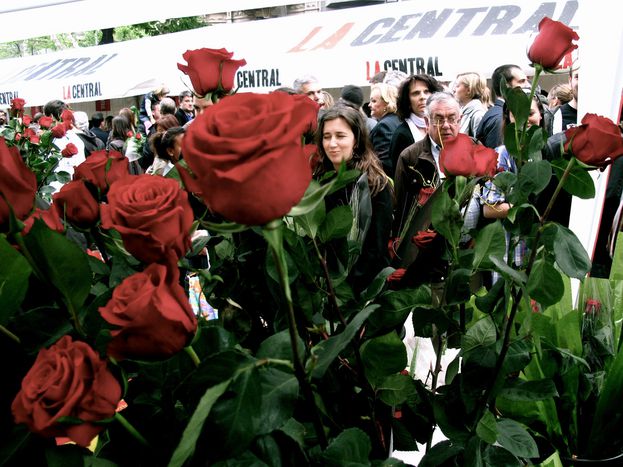 Image for Rosas para el Día Internacional del Libro