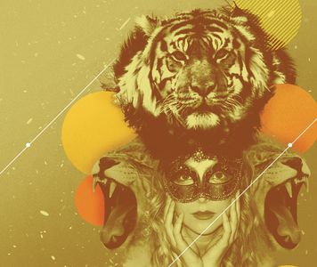 Image for Turkey's Masked Ball