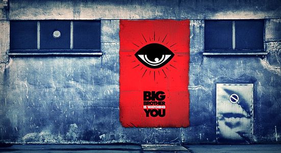 Image for Lois européennes sur la vie privée : entre protection et exploitation 