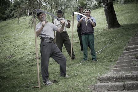 Image for Sickles and the city: Bucharest gets sustainable (19 images)