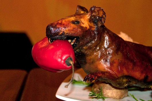 Porcellino d'india arrosto: ricorda i maialetti sardi