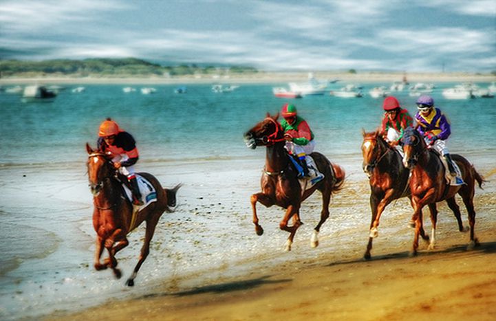 Image for Los otros deportes de agosto
